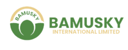 Bamusky International Limited